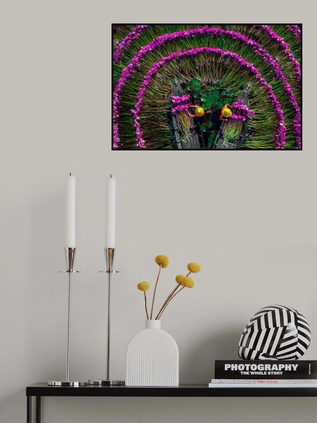 Harvesting water lilies Poster och Canvastavla
