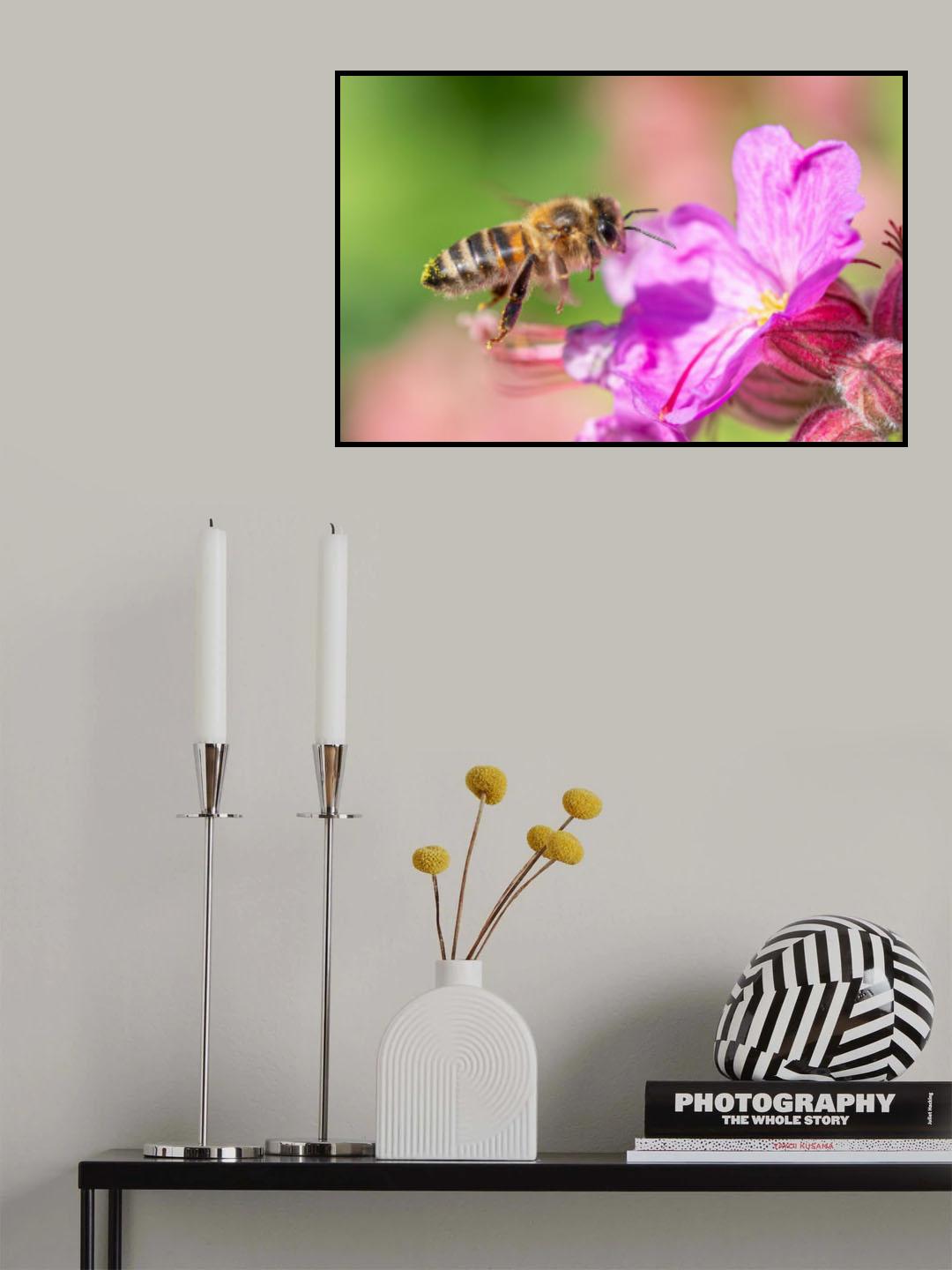 The flight of the honey bee Poster och Canvastavla