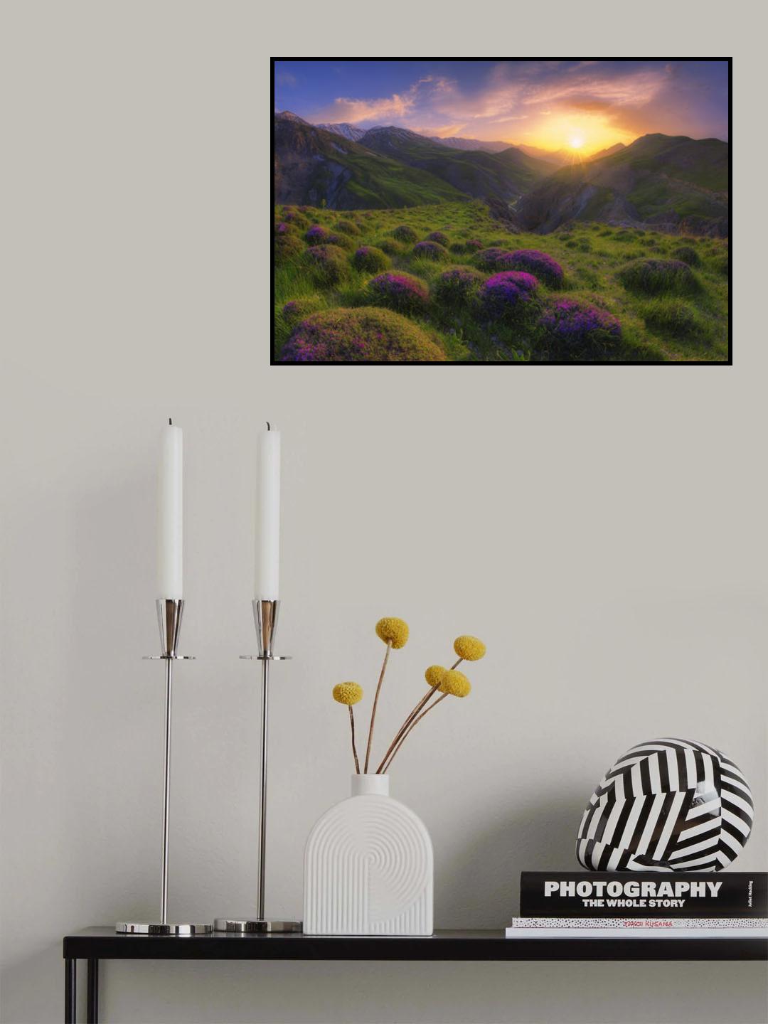 spring in show Poster och Canvastavla