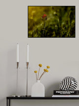 Poster och Canvastavla