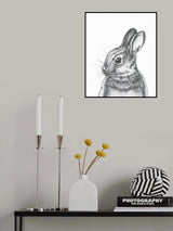 Cottantail Poster och Canvastavla