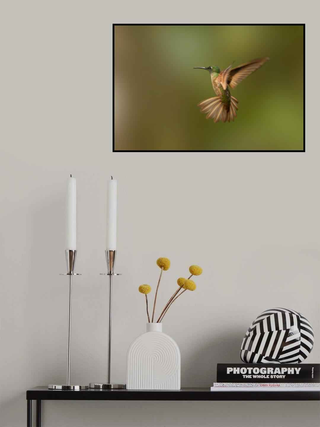 Slow down Poster och Canvastavla