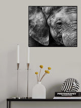 Elephant skin Poster och Canvastavla