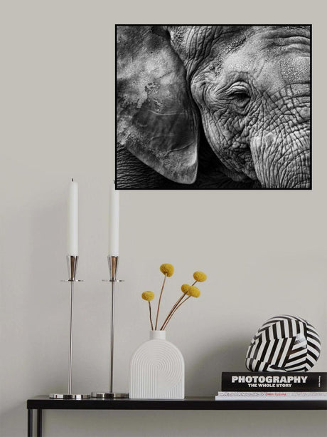 Elephant skin Poster och Canvastavla