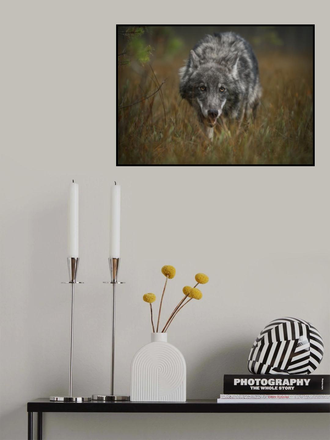 Autumn paths Poster och Canvastavla