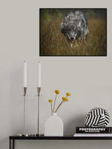Autumn paths Poster och Canvastavla