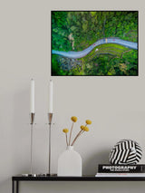 The snake road Poster och Canvastavla