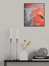 Parachutist... Poster och Canvastavla