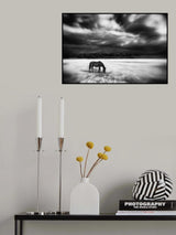 Poster och Canvastavla