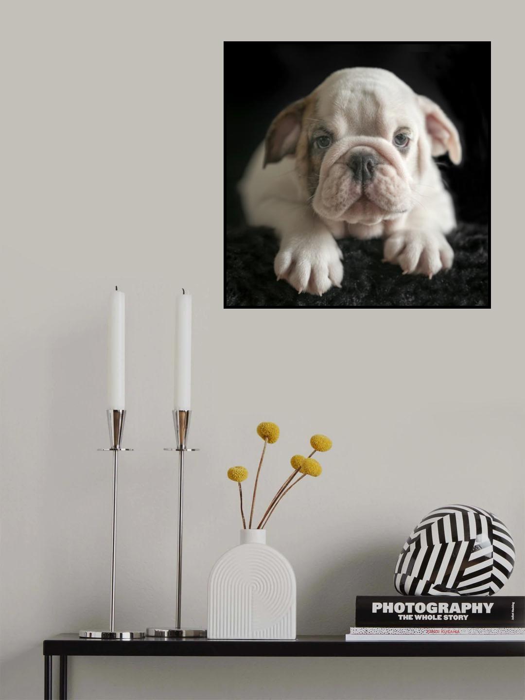 Bert Poster och Canvastavla