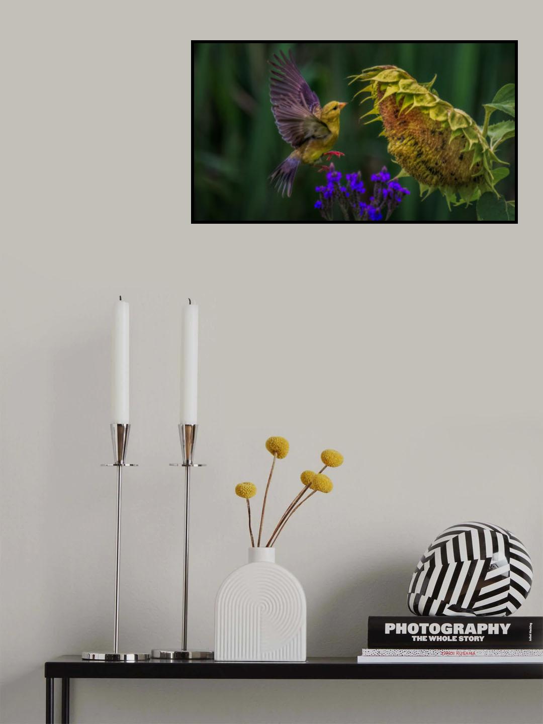 Goldfinch Poster och Canvastavla