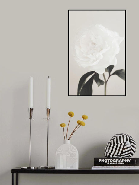 Peony 03 Poster och Canvastavla