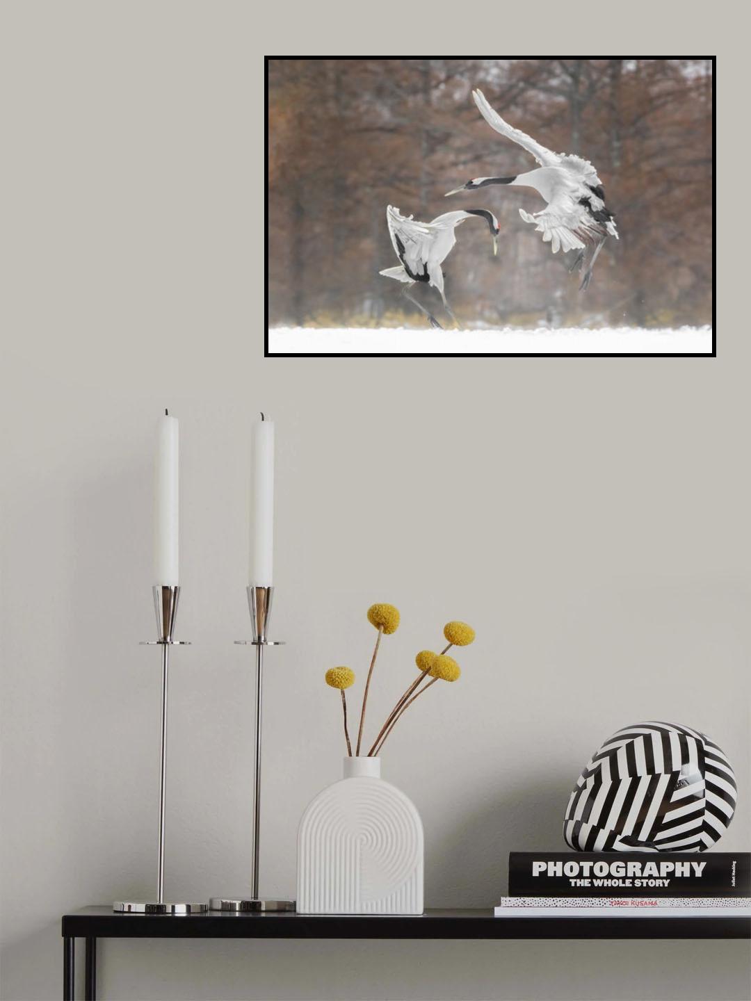 Happy dancing Poster och Canvastavla