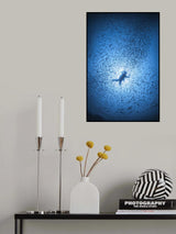 Diver and shoal of fish Poster och Canvastavla