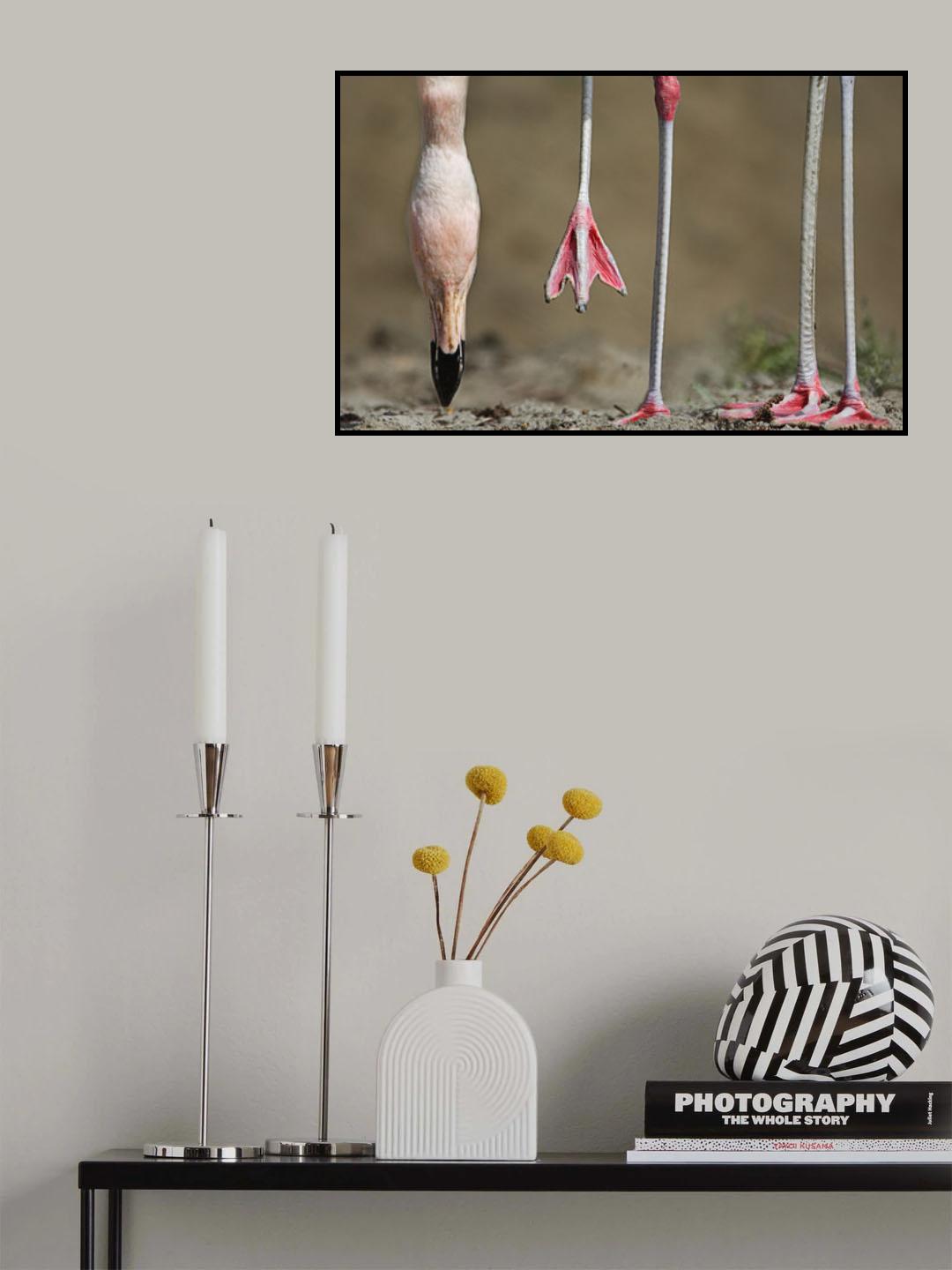 Whose legs Poster och Canvastavla