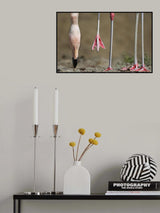 Whose legs Poster och Canvastavla