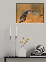 Carry Diner Home! Poster och Canvastavla