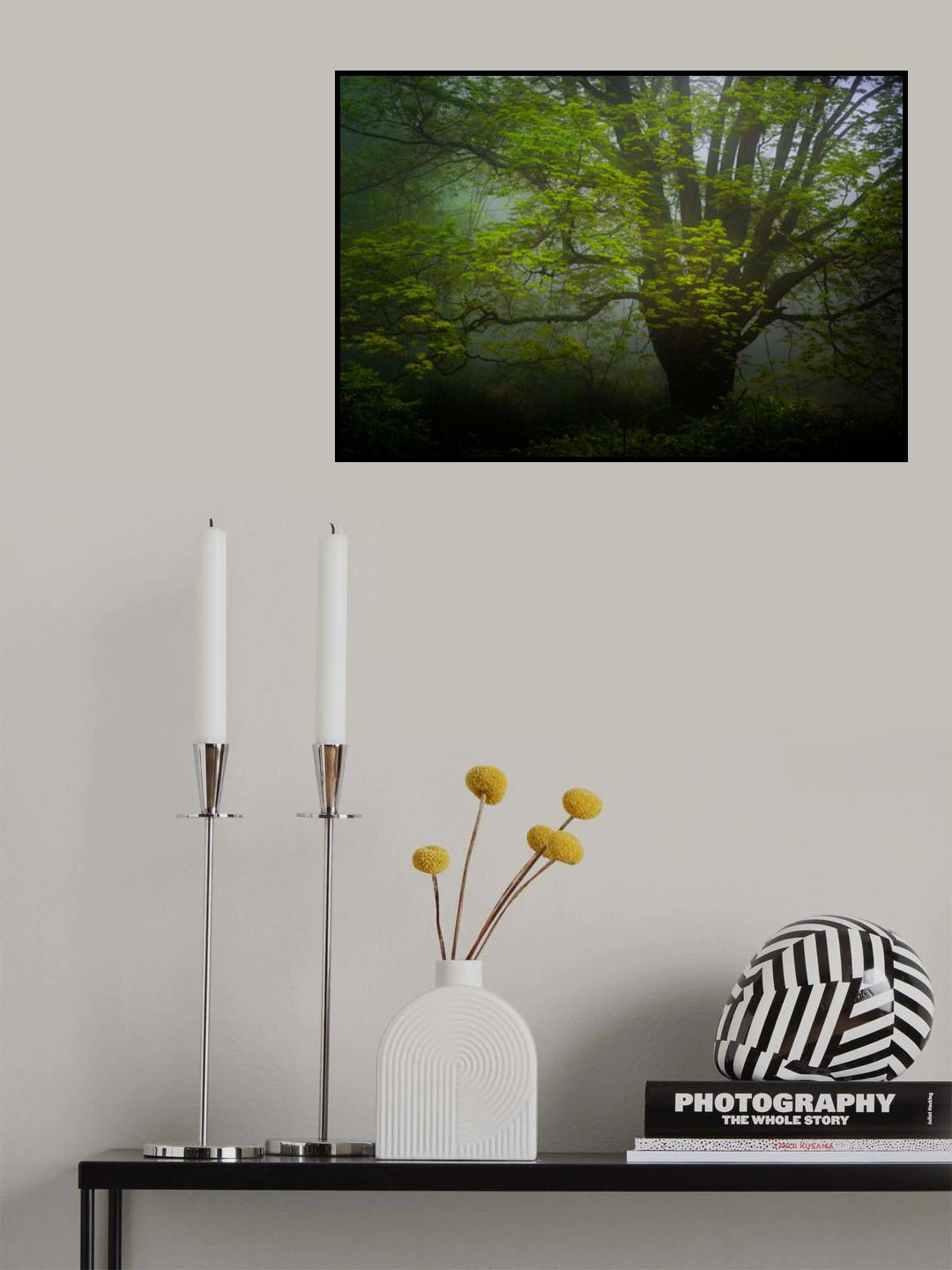 Forrest morning Poster och Canvastavla