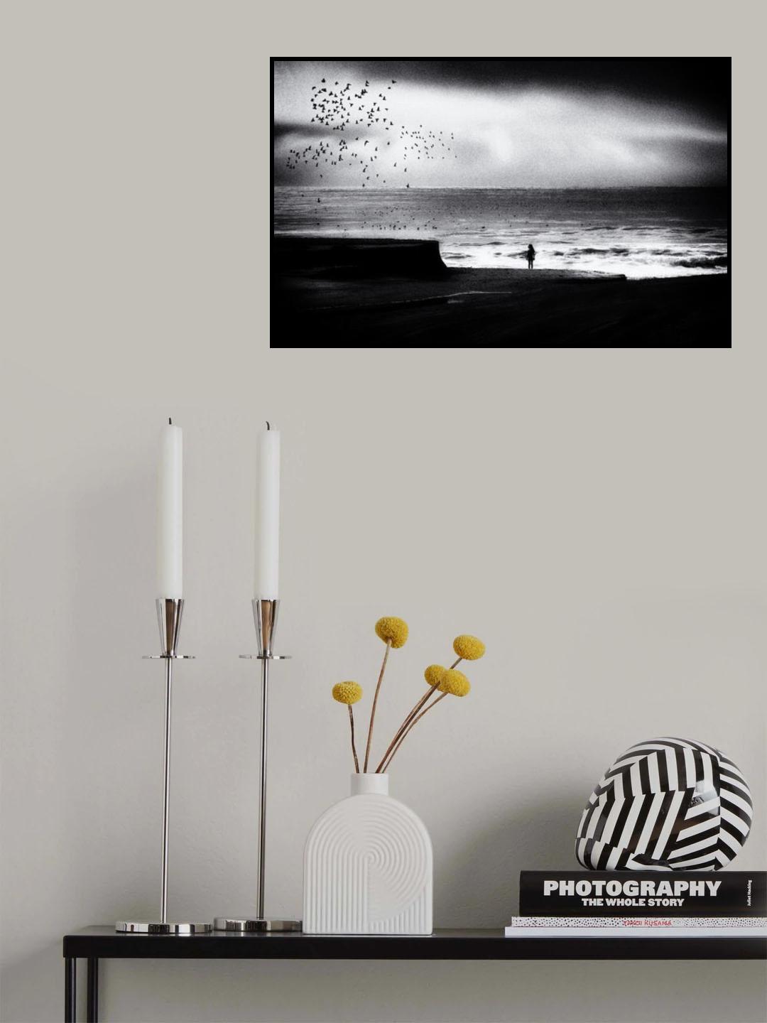Birds on the beach Poster och Canvastavla