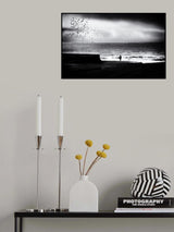 Birds on the beach Poster och Canvastavla