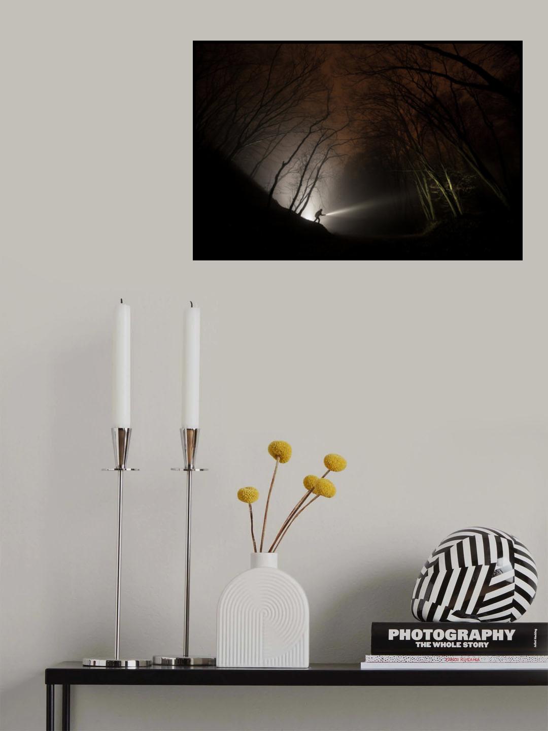 Night explorer Poster och Canvastavla