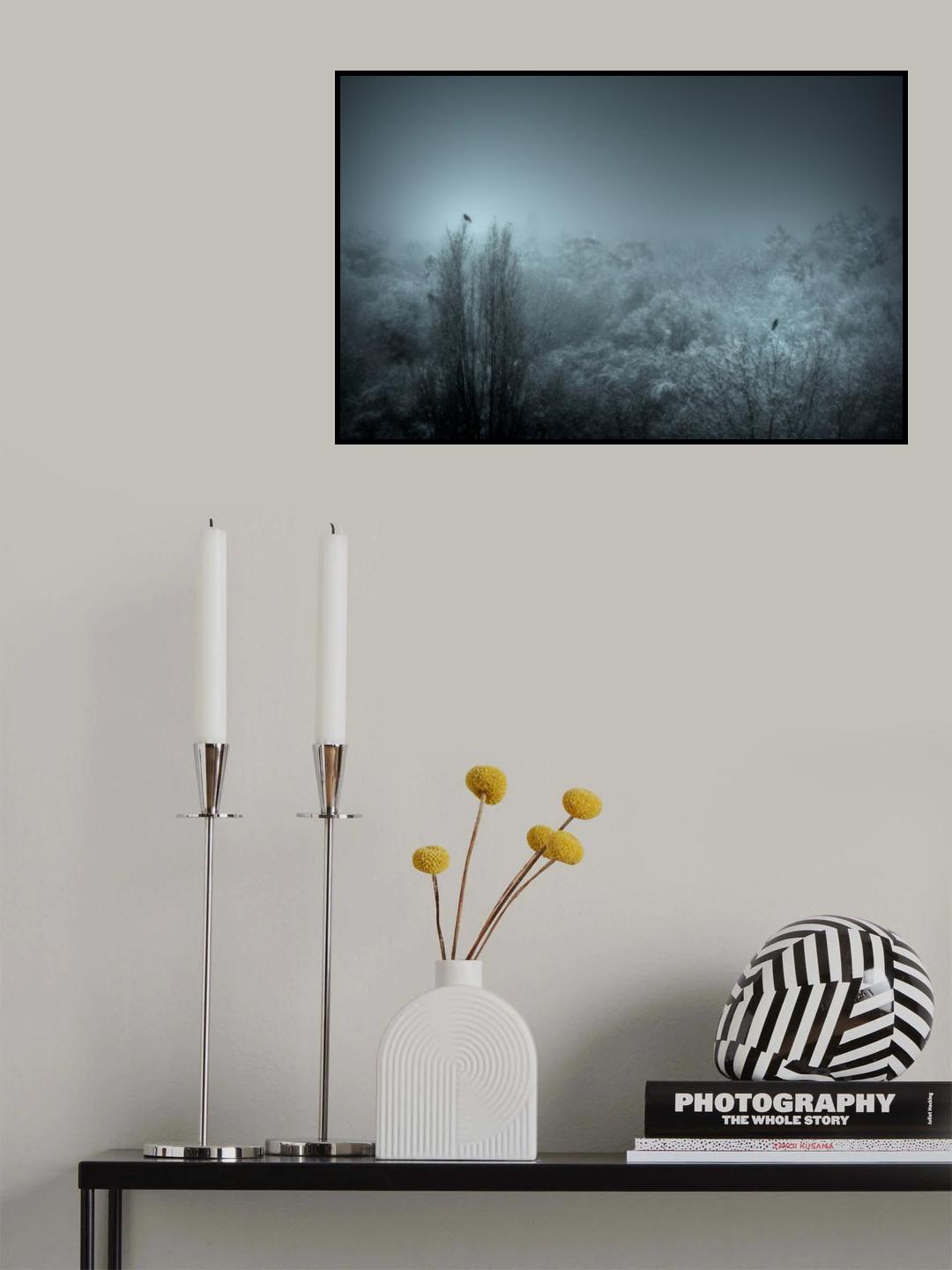 winter light Poster och Canvastavla