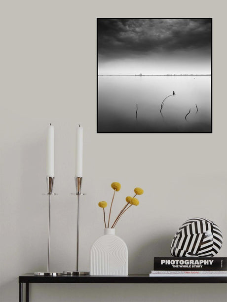 Blackbird Poster och Canvastavla