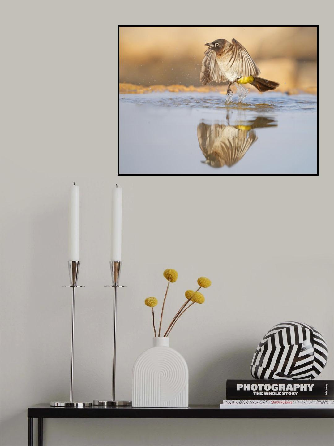 Bulbul Poster och Canvastavla