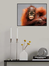 Hey Poster och Canvastavla
