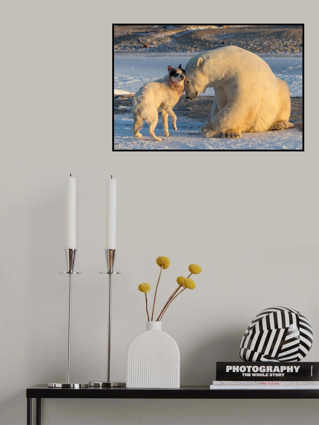 The Dog &amp; The Bear Poster och Canvastavla