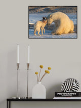 The Dog &amp; The Bear Poster och Canvastavla
