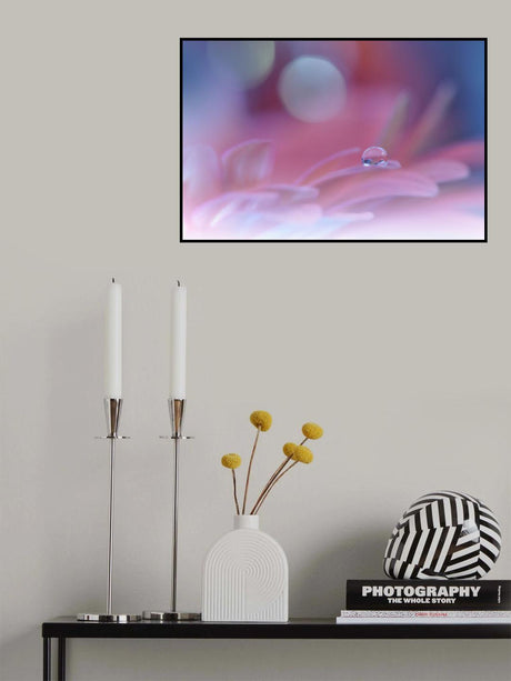 * Poster och Canvastavla