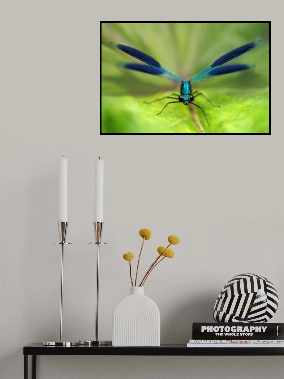 Damselfly Poster och Canvastavla