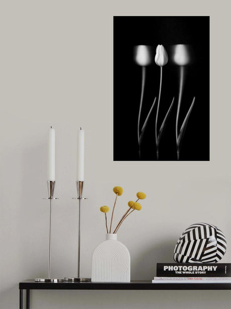 Tulips Poster och Canvastavla