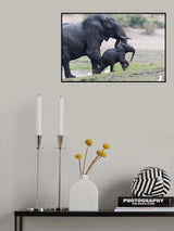 Mom, see how fast I can walk. Poster och Canvastavla