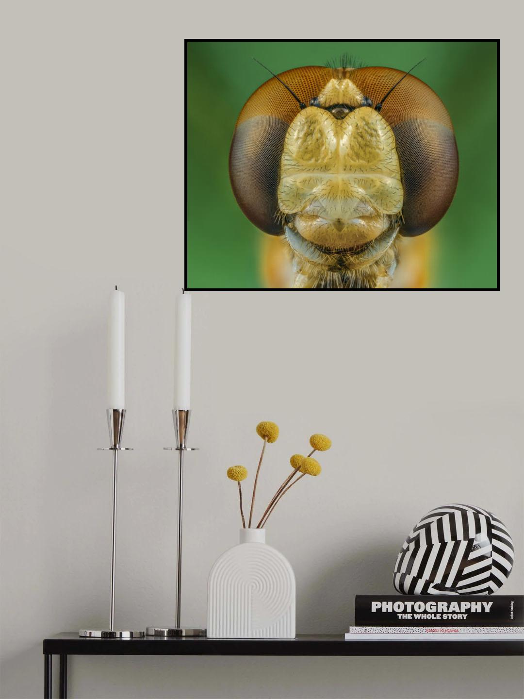 Dragonfly Poster och Canvastavla