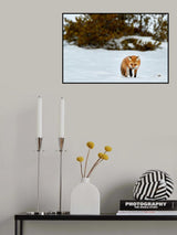 Winter Hunt Poster och Canvastavla