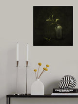 Under Harsh Light Poster och Canvastavla