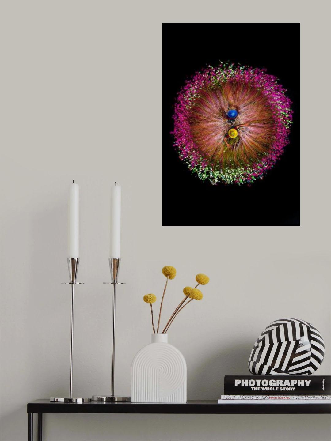 Harvesting water lilies Poster och Canvastavla