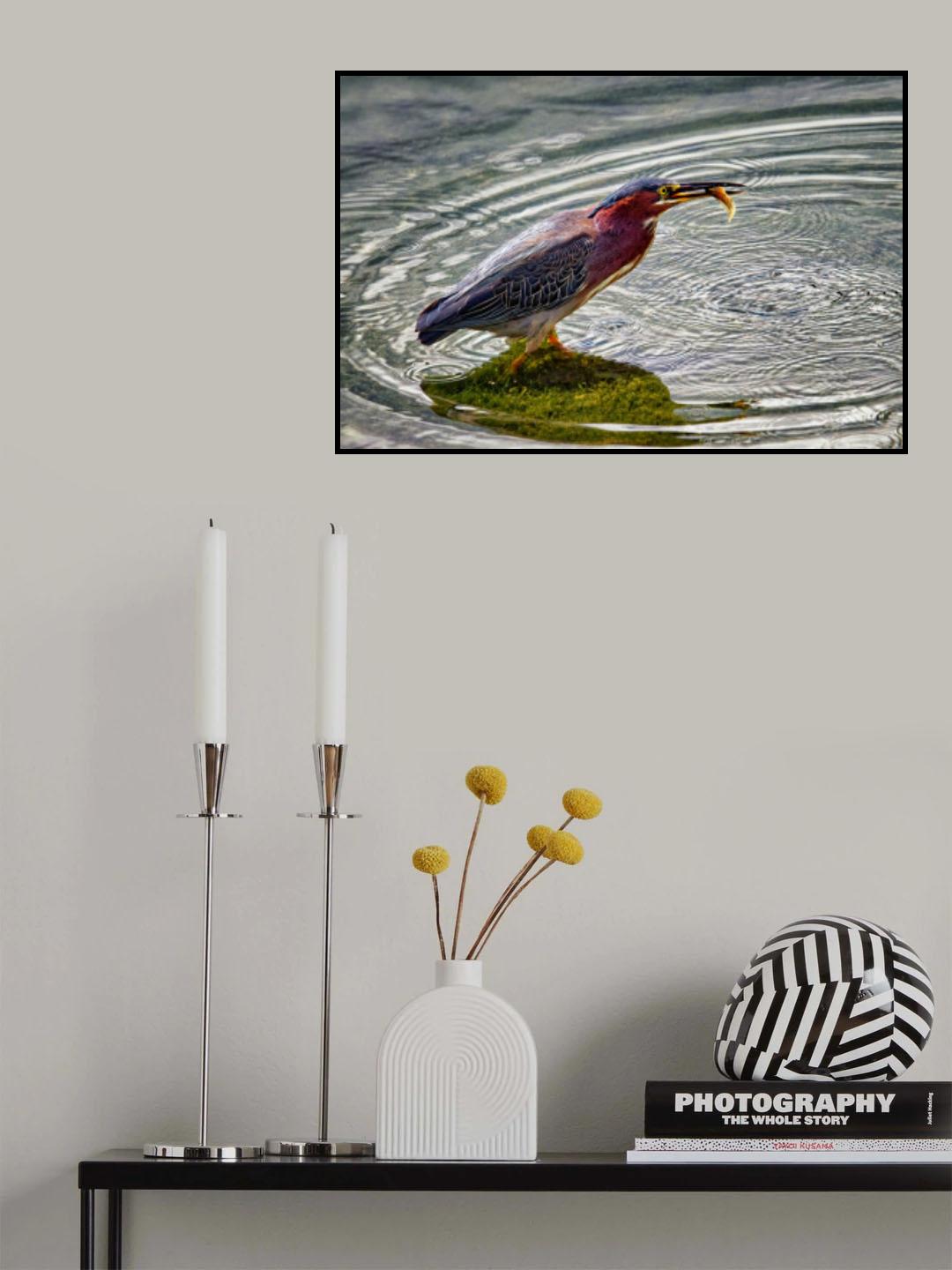 The Tadpole Diet Poster och Canvastavla