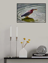 The Tadpole Diet Poster och Canvastavla