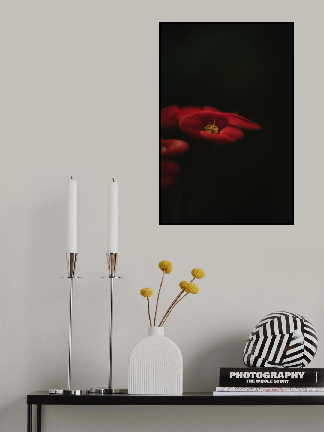 Botanical Series - Red Blossom Poster och Canvastavla