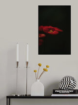 Botanical Series - Red Blossom Poster och Canvastavla
