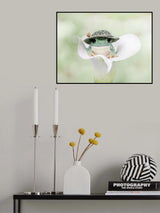 White's Tree Frog Dressed to Go Out Poster och Canvastavla