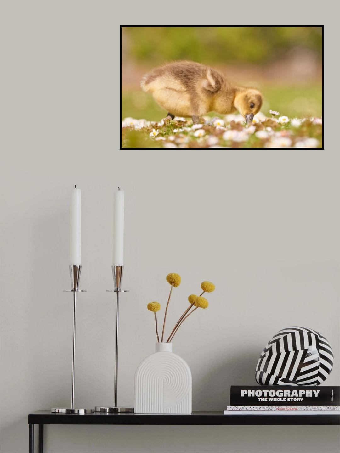 New Life Poster och Canvastavla
