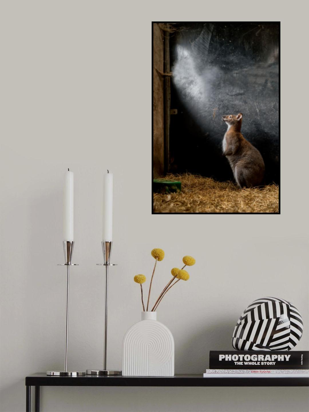 What is up there.....? Poster och Canvastavla