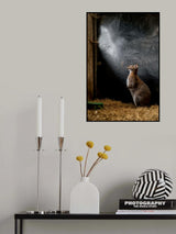 What is up there.....? Poster och Canvastavla