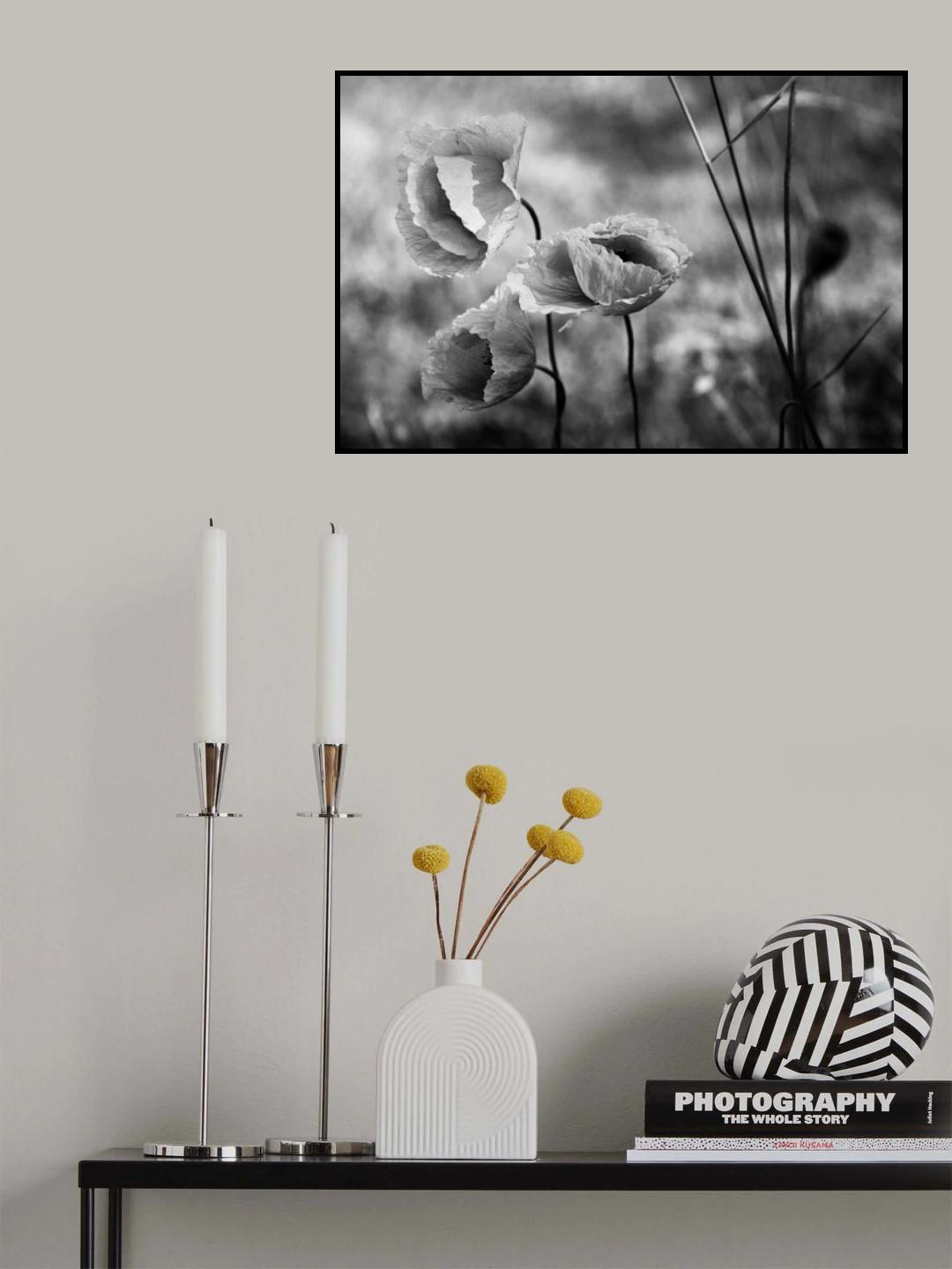 final summer breath Poster och Canvastavla
