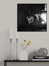 Zero Gravity Poster och Canvastavla