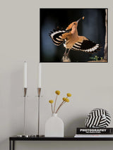 Taking off Poster och Canvastavla
